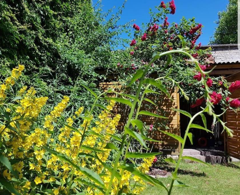 City Appartement Mit Garten, Zentral Und Trotzdem Ruhig 콧부스 외부 사진