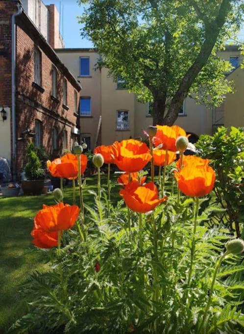 City Appartement Mit Garten, Zentral Und Trotzdem Ruhig 콧부스 외부 사진